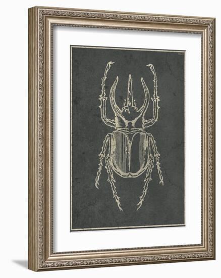 Historia Insectorum Generalis II-The Vintage Collection-Framed Giclee Print