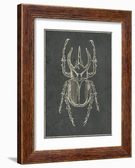 Historia Insectorum Generalis II-The Vintage Collection-Framed Giclee Print