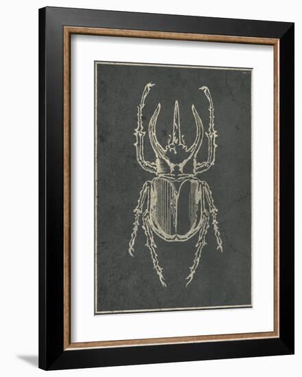 Historia Insectorum Generalis II-The Vintage Collection-Framed Giclee Print