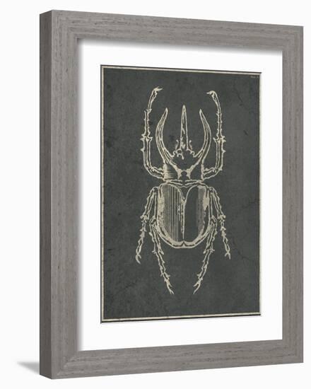 Historia Insectorum Generalis II-The Vintage Collection-Framed Giclee Print