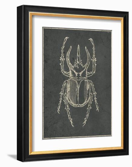 Historia Insectorum Generalis II-The Vintage Collection-Framed Giclee Print