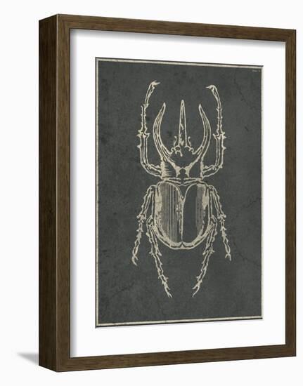 Historia Insectorum Generalis II-The Vintage Collection-Framed Giclee Print