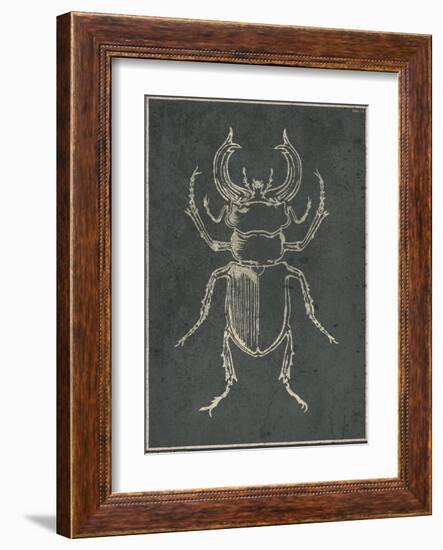 Historia Insectorum Generalis III-The Vintage Collection-Framed Giclee Print