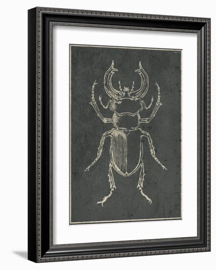 Historia Insectorum Generalis III-The Vintage Collection-Framed Giclee Print