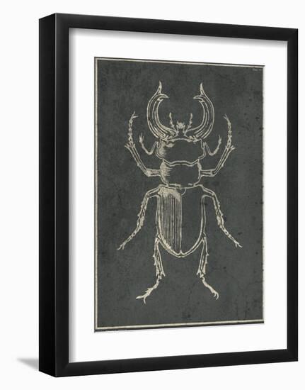 Historia Insectorum Generalis III-The Vintage Collection-Framed Giclee Print