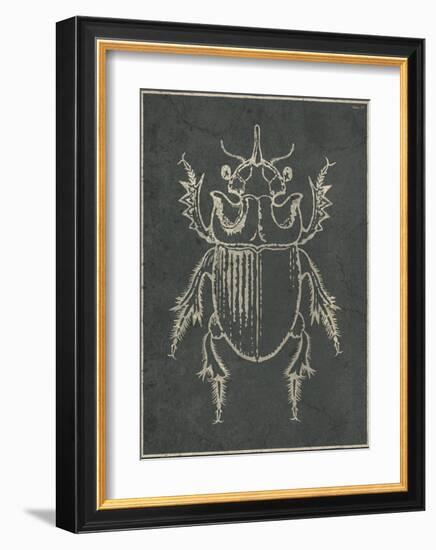 Historia Insectorum Generalis IV-The Vintage Collection-Framed Giclee Print