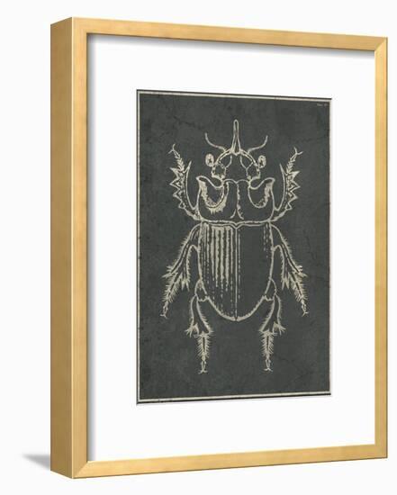 Historia Insectorum Generalis IV-The Vintage Collection-Framed Giclee Print
