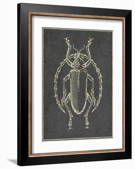 Historia Insectorum Generalis V-The Vintage Collection-Framed Giclee Print