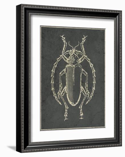 Historia Insectorum Generalis V-The Vintage Collection-Framed Giclee Print