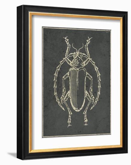 Historia Insectorum Generalis V-The Vintage Collection-Framed Giclee Print