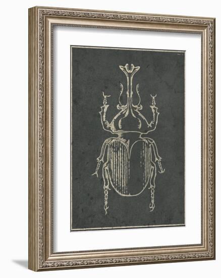 Historia Insectorum Generalis VI-The Vintage Collection-Framed Giclee Print