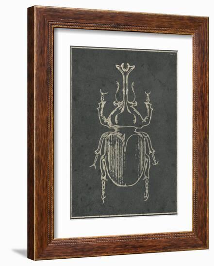 Historia Insectorum Generalis VI-The Vintage Collection-Framed Giclee Print