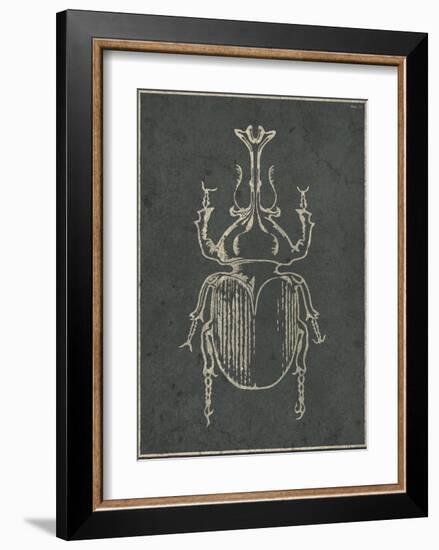 Historia Insectorum Generalis VI-The Vintage Collection-Framed Giclee Print