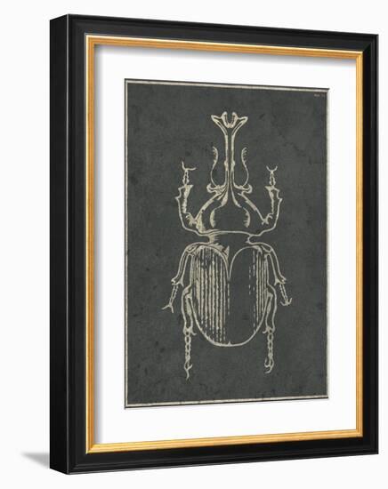 Historia Insectorum Generalis VI-The Vintage Collection-Framed Giclee Print