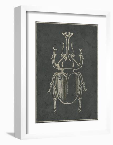 Historia Insectorum Generalis VI-The Vintage Collection-Framed Giclee Print