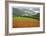 Historic Barn at Redwoods Forest-Donald Paulson-Framed Giclee Print