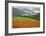 Historic Barn at Redwoods Forest-Donald Paulson-Framed Giclee Print