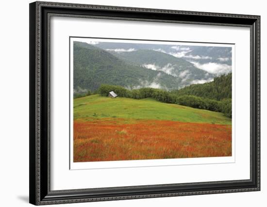 Historic Barn at Redwoods Forest-Donald Paulson-Framed Giclee Print