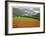 Historic Barn at Redwoods Forest-Donald Paulson-Framed Giclee Print