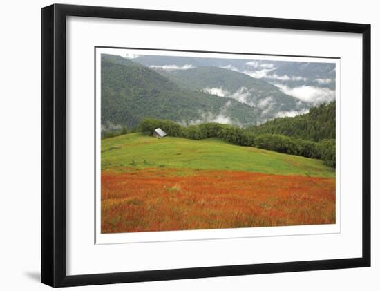 Historic Barn at Redwoods Forest-Donald Paulson-Framed Giclee Print