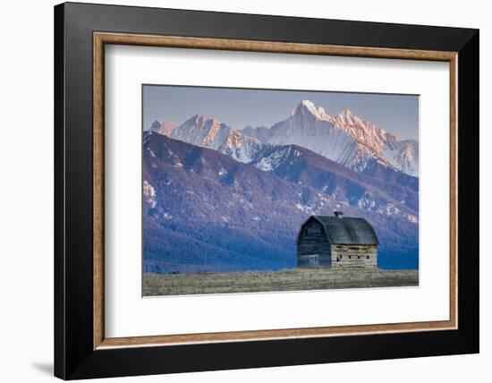 Historic Barn at Sunset, Flathead Indian Reservation, Montana-Steven Gnam-Framed Photographic Print