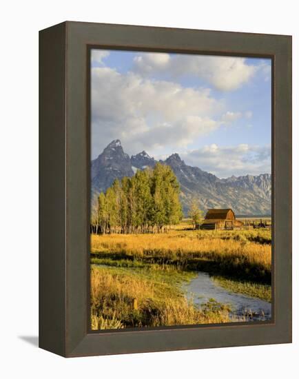 Historic Barn, Mormon Row and Teton Mountain Range, Grand Teton National Park, Wyoming, USA-Michele Falzone-Framed Premier Image Canvas