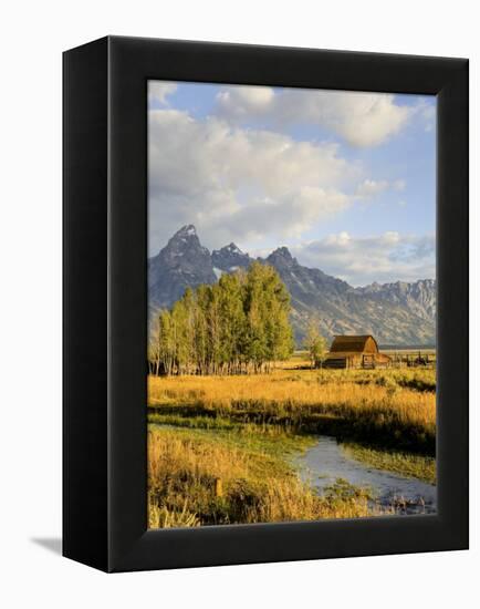 Historic Barn, Mormon Row and Teton Mountain Range, Grand Teton National Park, Wyoming, USA-Michele Falzone-Framed Premier Image Canvas