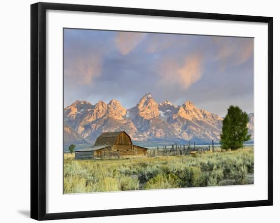 Historic Barn, Mormon Row and Teton Mountain Range, Grand Teton National Park, Wyoming, USA-Michele Falzone-Framed Photographic Print