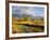 Historic Barn, Mormon Row and Teton Mountain Range, Grand Teton National Park, Wyoming, USA-Michele Falzone-Framed Photographic Print