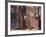 Historic Buildings on St. Thomas Street, Providence, Rhode Island-Walter Bibikow-Framed Photographic Print