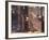 Historic Buildings on St. Thomas Street, Providence, Rhode Island-Walter Bibikow-Framed Photographic Print