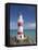 Historic Cape Palliser Lighthouse (1897), Wairarapa, North Island, New Zealand-David Wall-Framed Premier Image Canvas