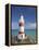 Historic Cape Palliser Lighthouse (1897), Wairarapa, North Island, New Zealand-David Wall-Framed Premier Image Canvas