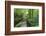 Historic Cromford Canal and Tow Path in Spring-Eleanor Scriven-Framed Photographic Print