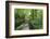 Historic Cromford Canal and Tow Path in Spring-Eleanor Scriven-Framed Photographic Print