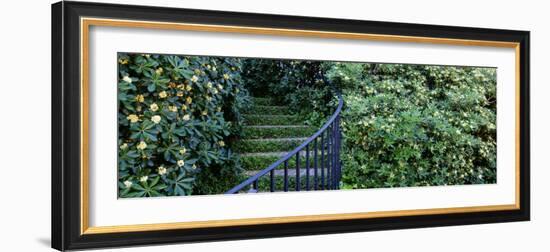 Historic District Charleston Sc, USA-null-Framed Photographic Print