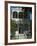 Historic District, Galveston, Texas, USA-Ethel Davies-Framed Photographic Print