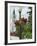 Historic District, Mackinac Island, Michigan, USA-Ethel Davies-Framed Photographic Print