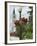 Historic District, Mackinac Island, Michigan, USA-Ethel Davies-Framed Photographic Print