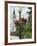 Historic District, Mackinac Island, Michigan, USA-Ethel Davies-Framed Photographic Print