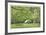 Historic Homestead 2-Donald Paulson-Framed Giclee Print