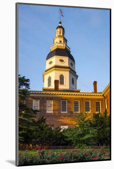 Historic Maryland State House in Annapolis, Maryland-Jerry Ginsberg-Mounted Photographic Print