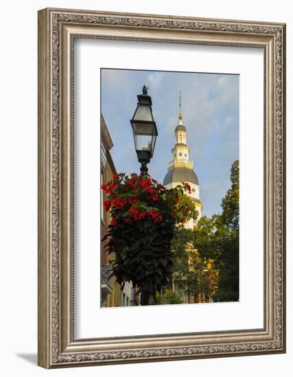 Historic Maryland State House in Annapolis, Maryland-Jerry Ginsberg-Framed Photographic Print