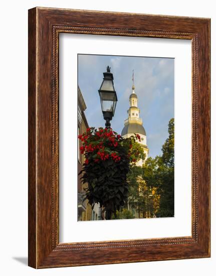 Historic Maryland State House in Annapolis, Maryland-Jerry Ginsberg-Framed Photographic Print