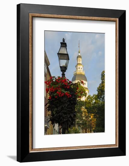 Historic Maryland State House in Annapolis, Maryland-Jerry Ginsberg-Framed Photographic Print