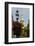 Historic Maryland State House in Annapolis, Maryland-Jerry Ginsberg-Framed Photographic Print