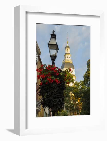 Historic Maryland State House in Annapolis, Maryland-Jerry Ginsberg-Framed Photographic Print