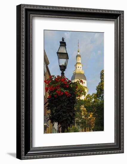 Historic Maryland State House in Annapolis, Maryland-Jerry Ginsberg-Framed Photographic Print