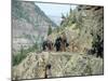 Historic Mining Town, Ouray, San Juan Skyway, US Highway 550, Colorado, USA-Cindy Miller Hopkins-Mounted Photographic Print