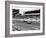 Historic Race, Le Mans, France, 1978-null-Framed Photographic Print